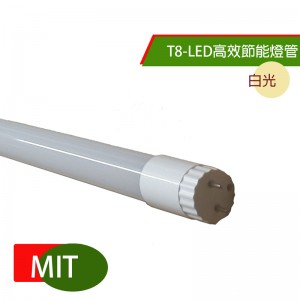 T8LED高效節能燈管-白